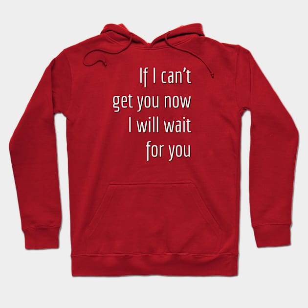 If I can't get you now I will wait for you. Hoodie by Imaginate